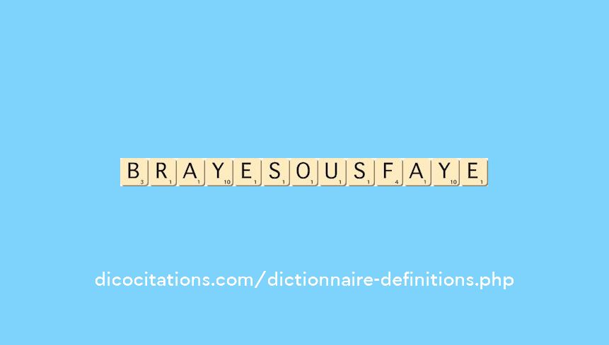 braye-sous-faye