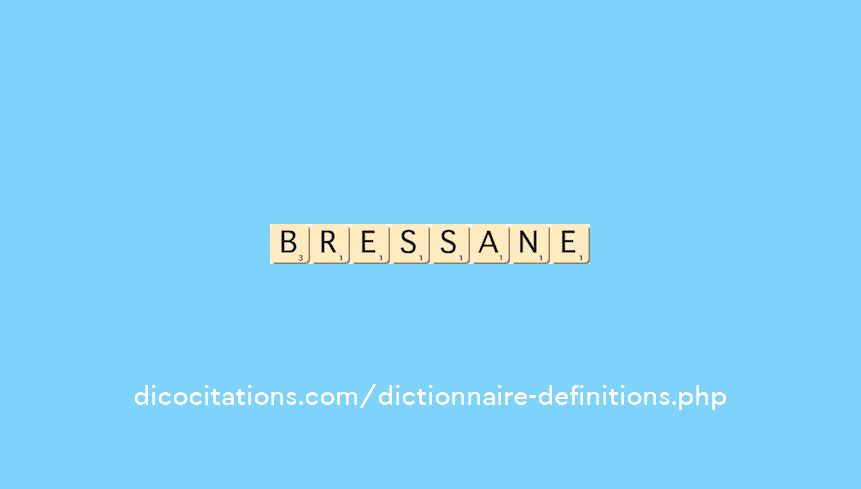 bressane bressane