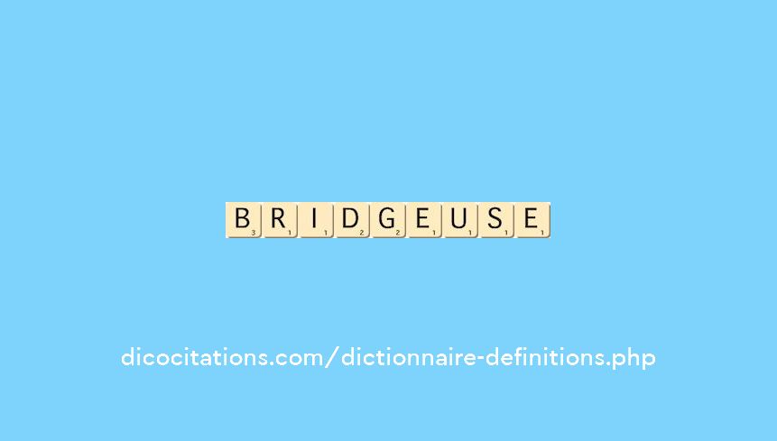 bridgeuse bridgeuse