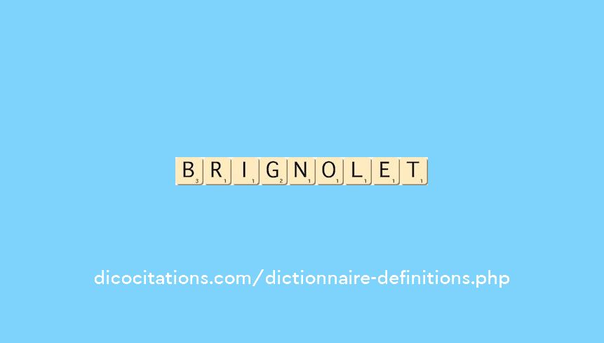 brignolet brignolet