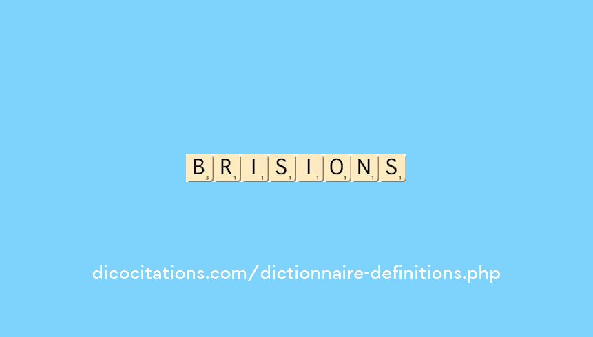 brisions brisions