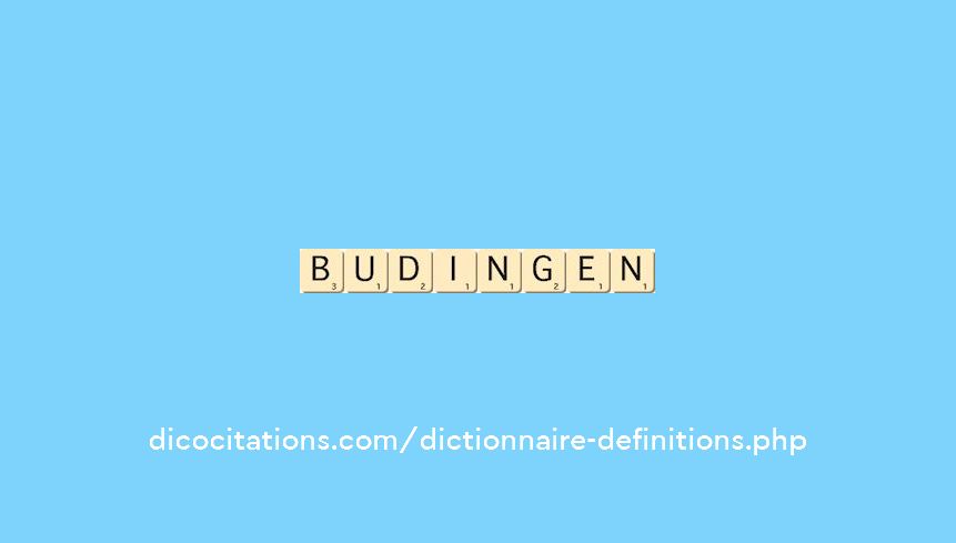 budingen budingen