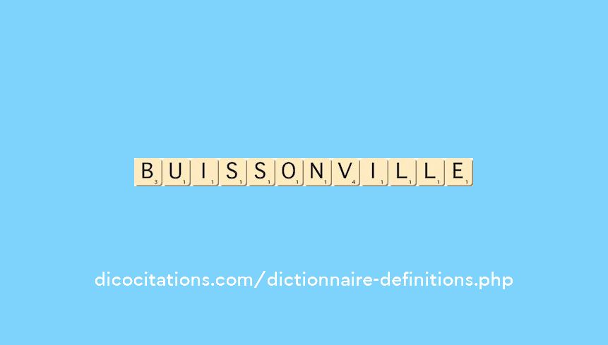 buissonville buissonville