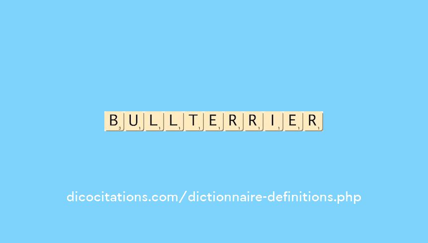 bull-terrier bull-terrier