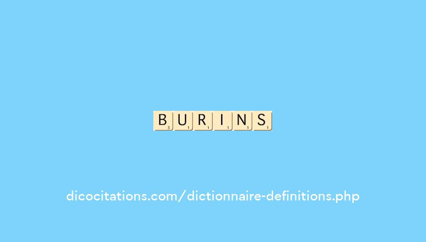 burins burins