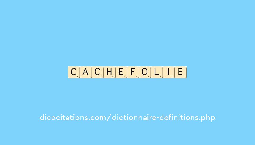 cache-folie