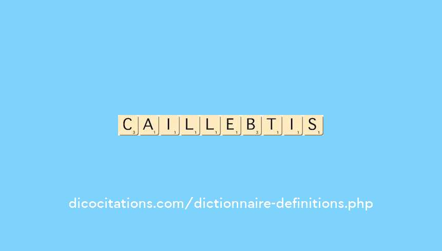 caillebotis caillebotis