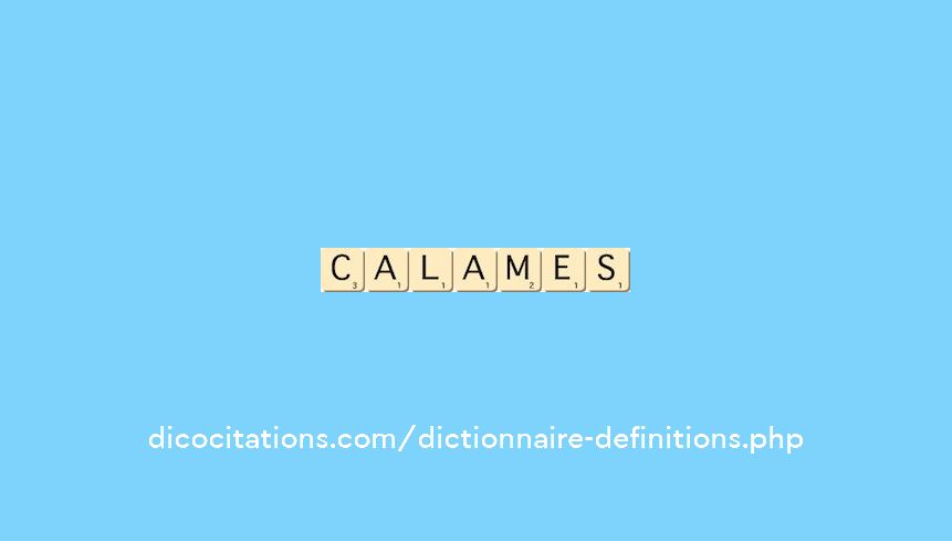 calames calames