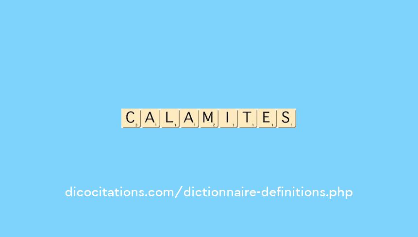 calamites calamites