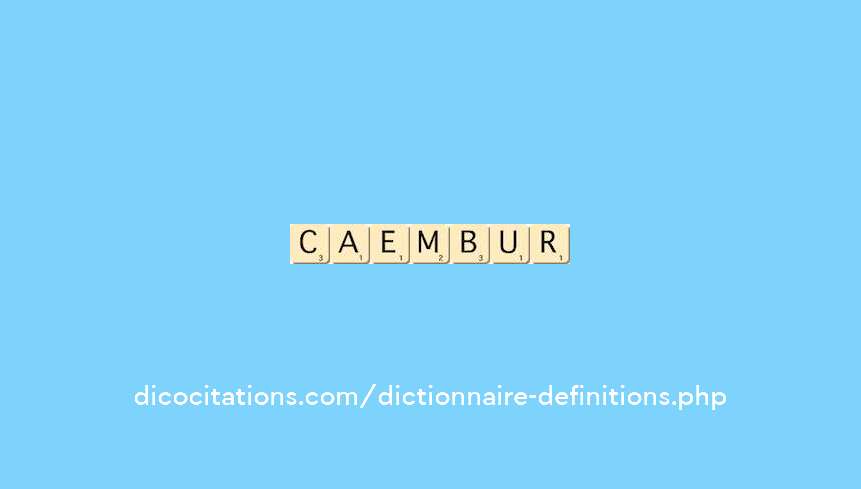 calembour
