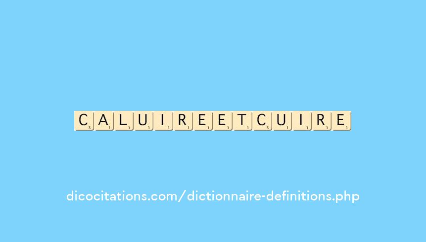 caluire-et-cuire