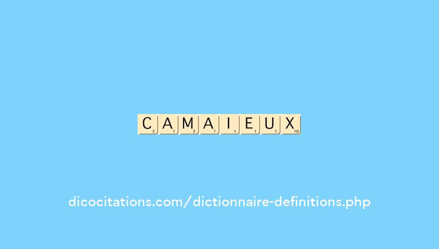camaieux camaieux