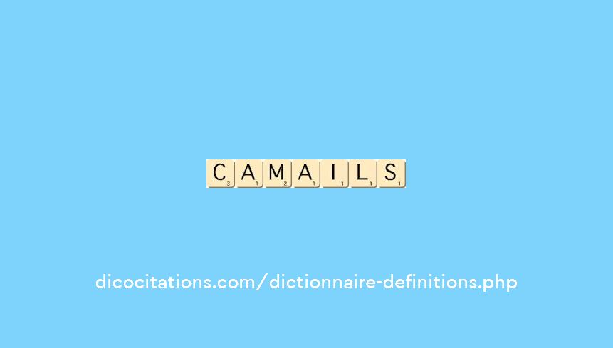 camails camails