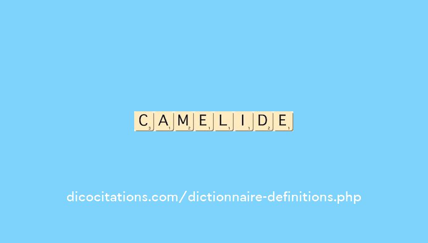 camelide camelide