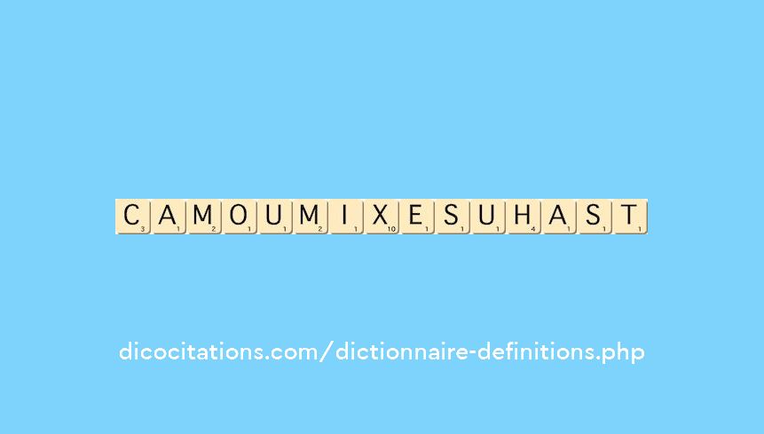 camou-mixe-suhast