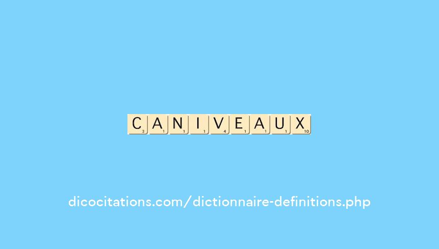 caniveaux caniveaux