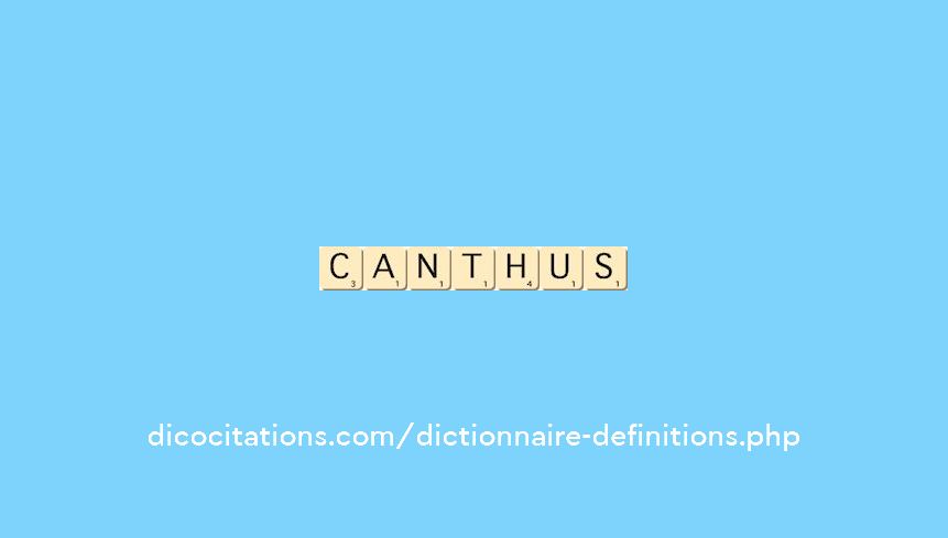 canthus