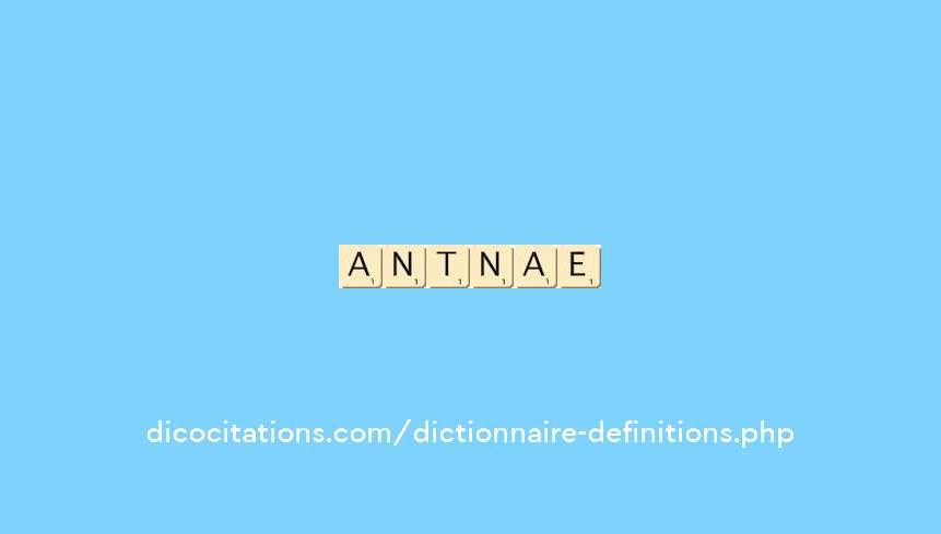 cantonale cantonale