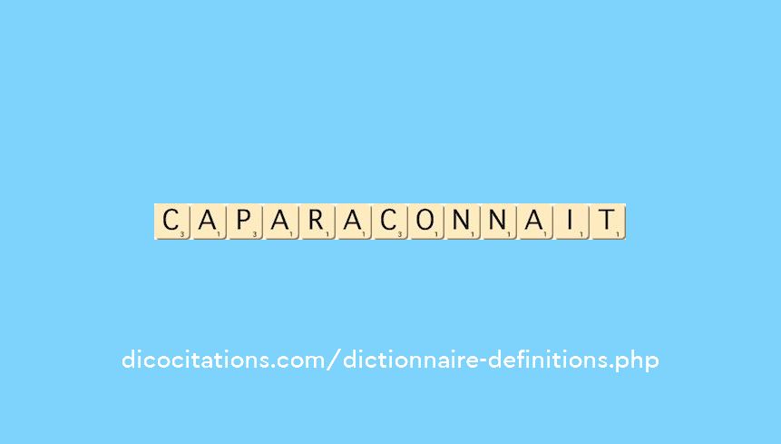 caparaconnait caparaconnait