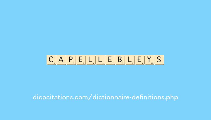capelle-bleys