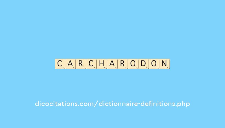 carcharodon