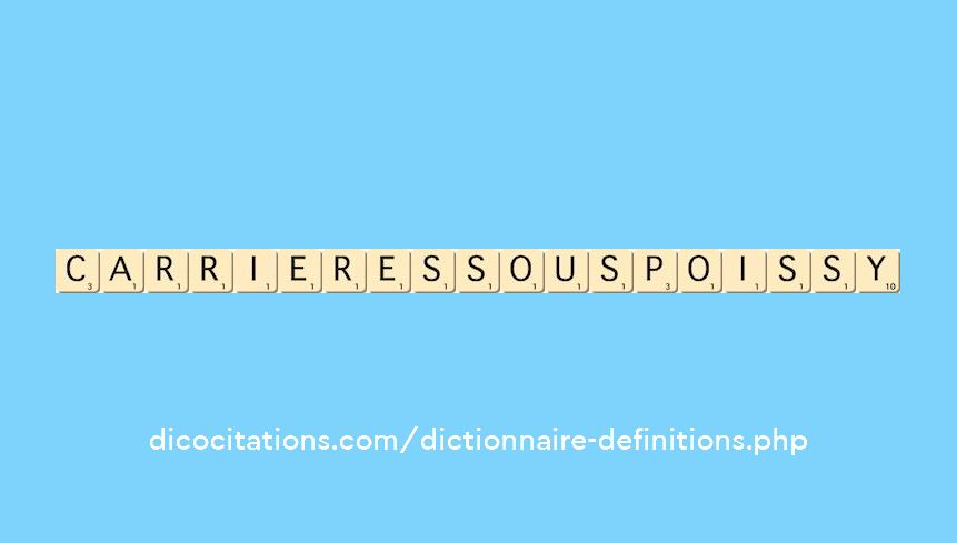 carrieres-sous-poissy