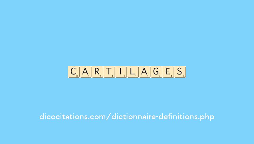 cartilages cartilages