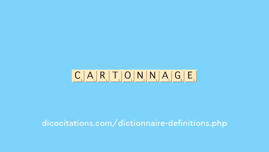 cartonnage cartonnage