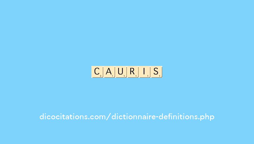 cauris cauris