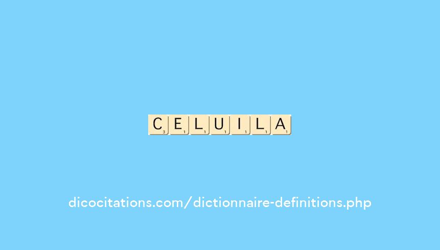 celui-la celui-la
