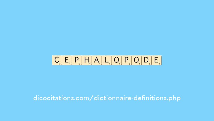 cephalopode cephalopode