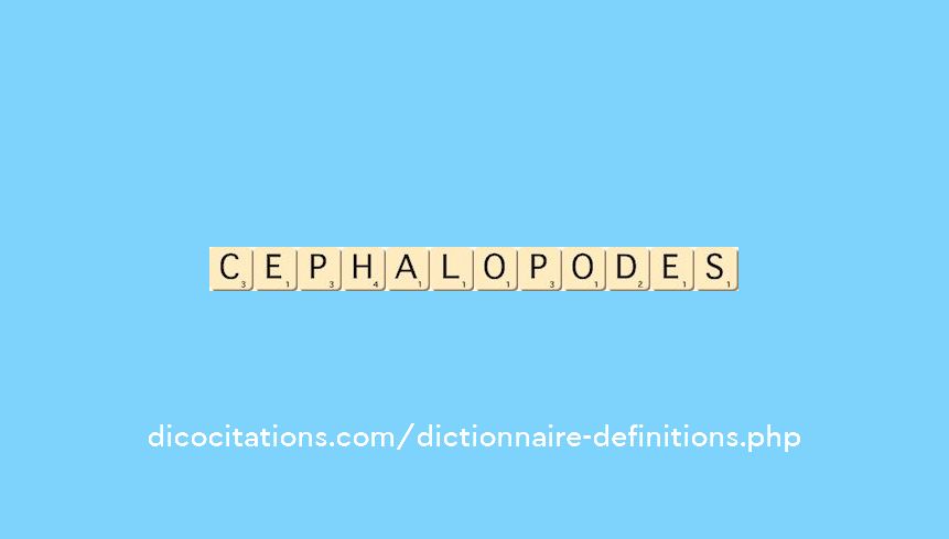 cephalopodes cephalopodes