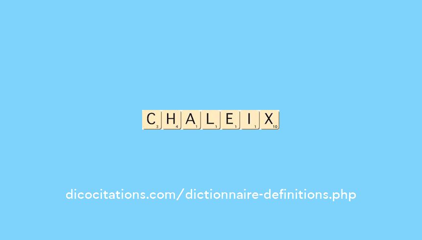 chaleix chaleix