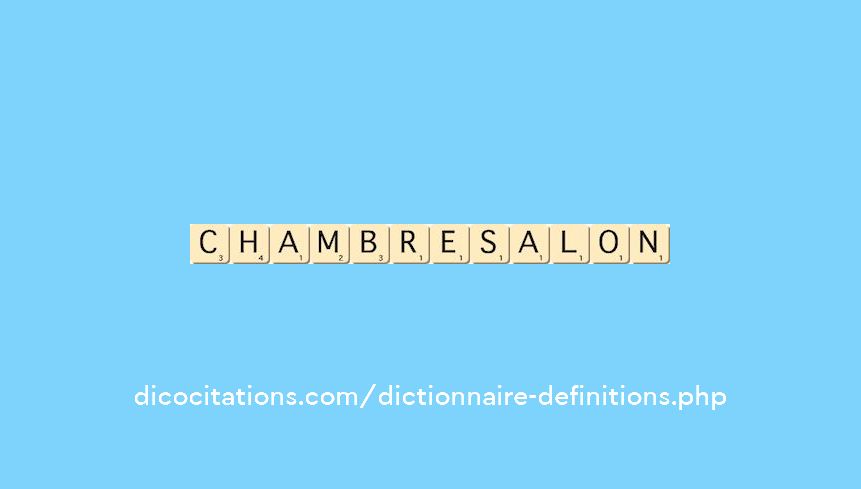 chambre-salon
