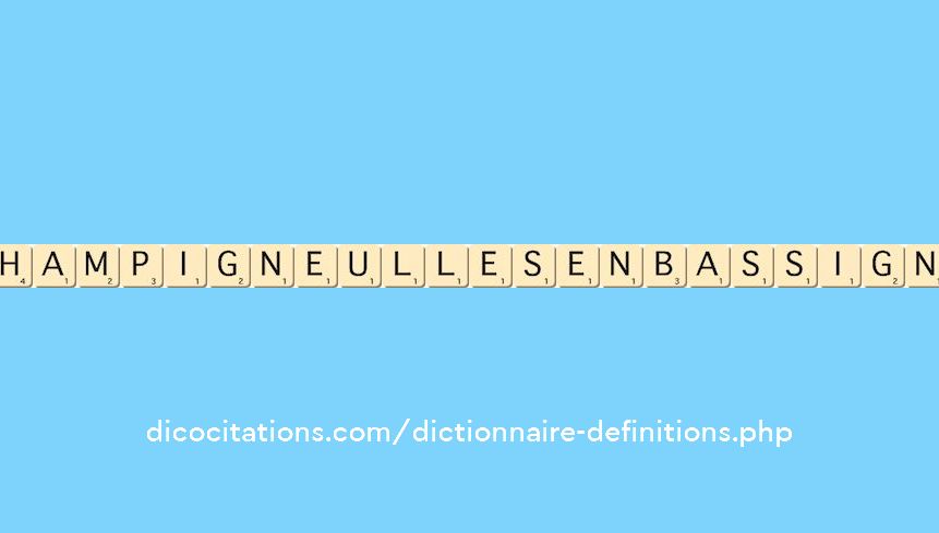 champigneulles-en-bassigny champigneulles-en-bassigny