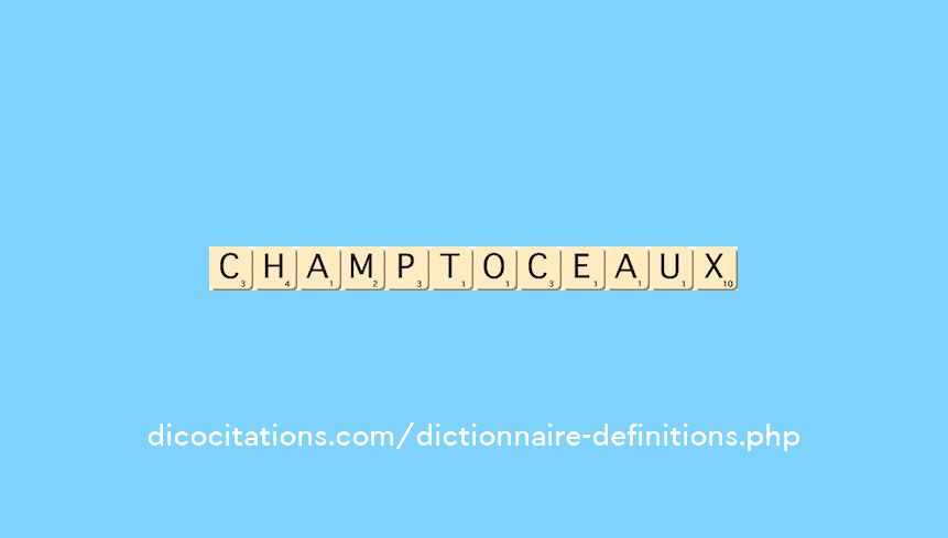 champtoceaux champtoceaux