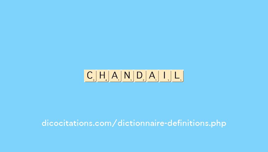 chandail chandail