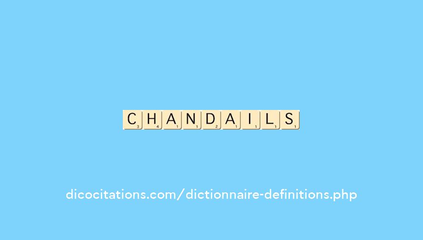 chandails chandails