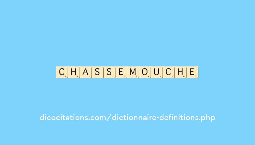 chasse-mouche