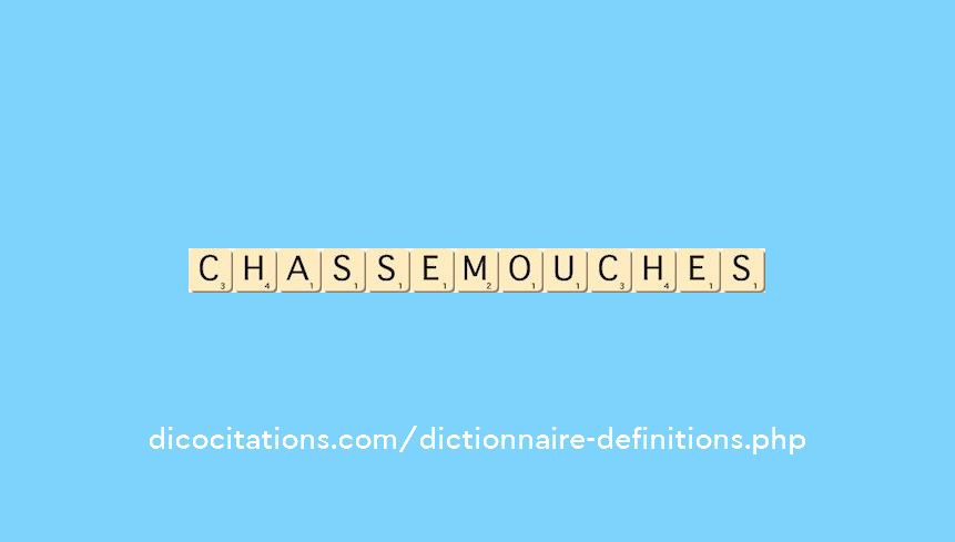 chasse-mouches