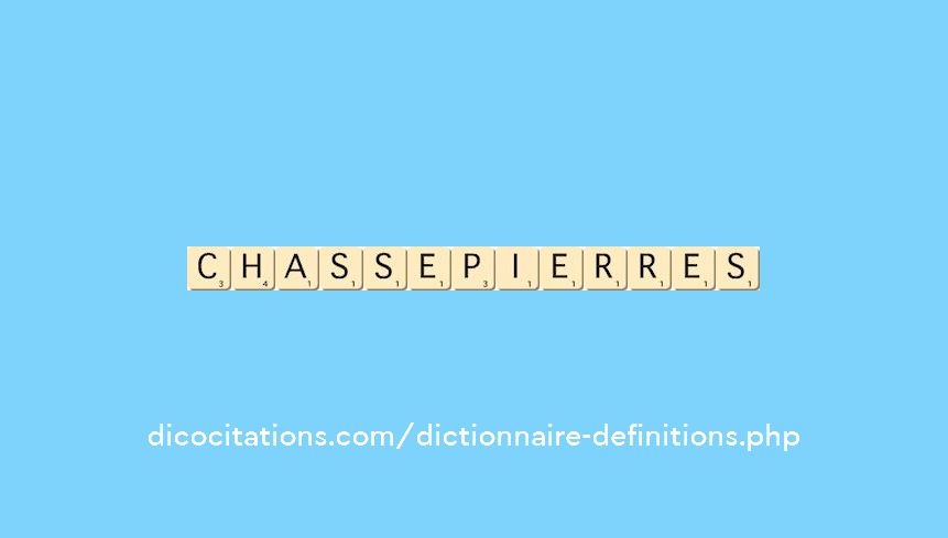chasse-pierres chasse-pierres