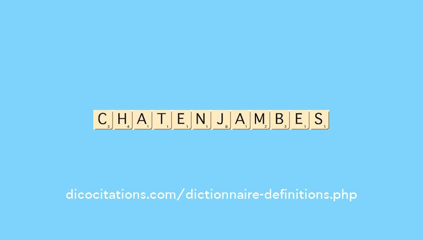 chat-en-jambes