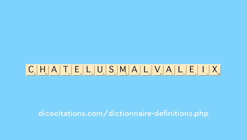 chatelus-malvaleix