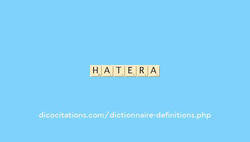 chatiera chatiera