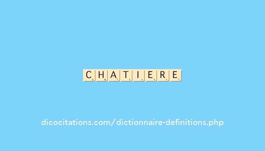chatiere chatiere