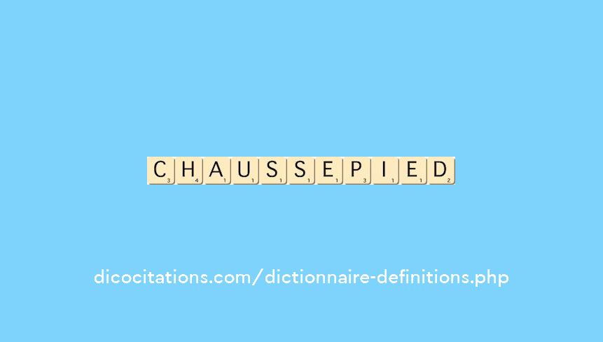 chausse-pied