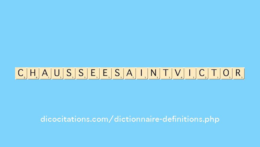 chaussee-saint-victor