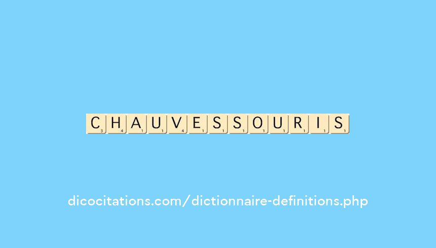 chauves-souris chauves-souris