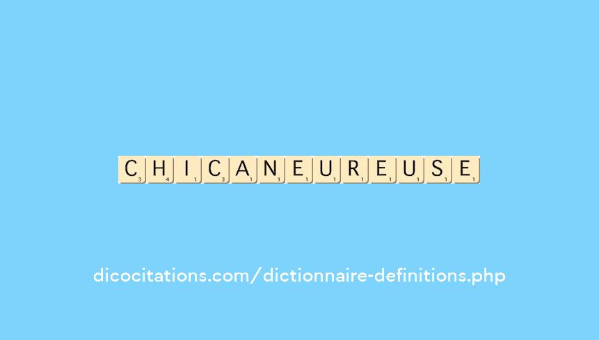 chicaneur--euse