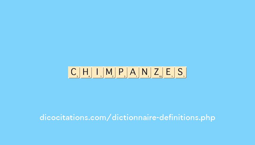 chimpanzes chimpanzes